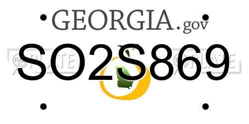 SO2S869 Georgia License Plate