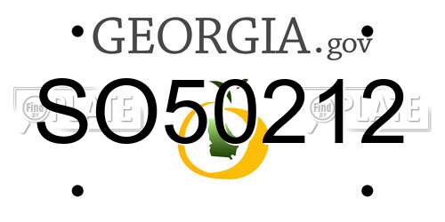 SO50212 Georgia License Plate