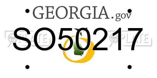 SO50217 Georgia License Plate