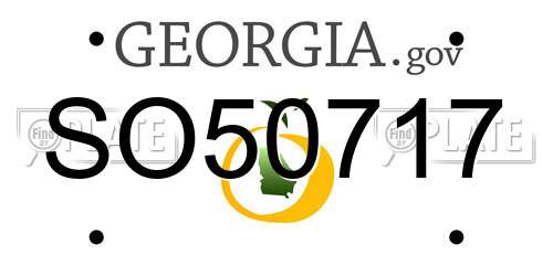 SO50717 Georgia License Plate