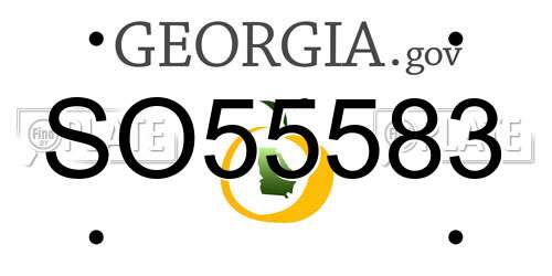 SO55583 Georgia License Plate