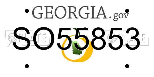 SO55853 Georgia License Plate