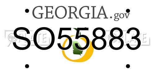 SO55883 Georgia License Plate