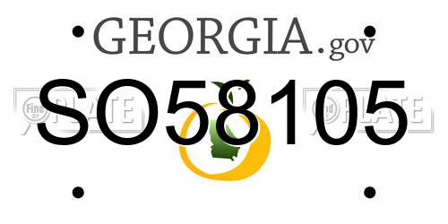 SO58105 Georgia License Plate
