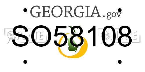 SO58108 Georgia License Plate
