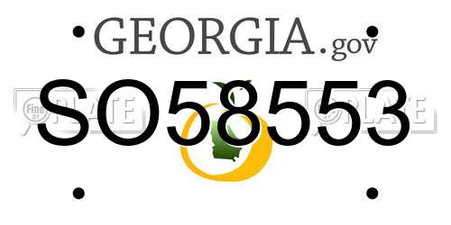 SO58553 Georgia License Plate