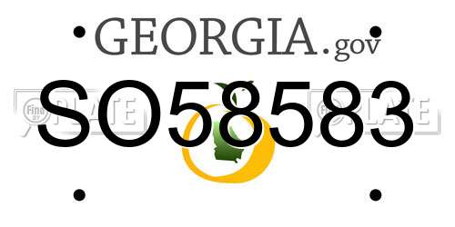 SO58583 Georgia License Plate