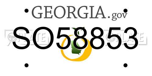 SO58853 Georgia License Plate