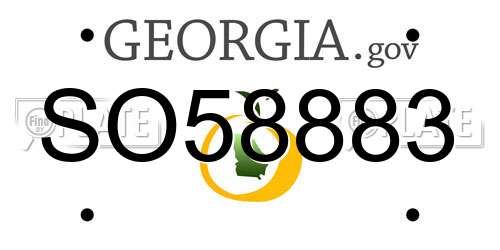 SO58883 Georgia License Plate