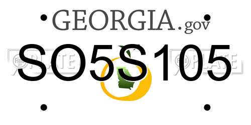 SO5S105 Georgia License Plate