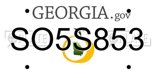 SO5S853 Georgia License Plate