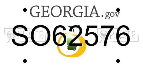 SO62576 Georgia License Plate