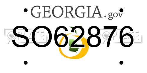 SO62876 Georgia License Plate