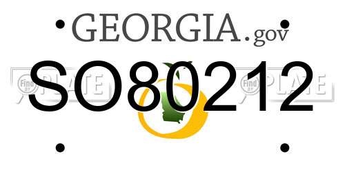 SO80212 Georgia License Plate