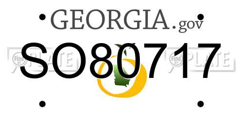 SO80717 Georgia License Plate