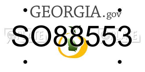 SO88553 Georgia License Plate