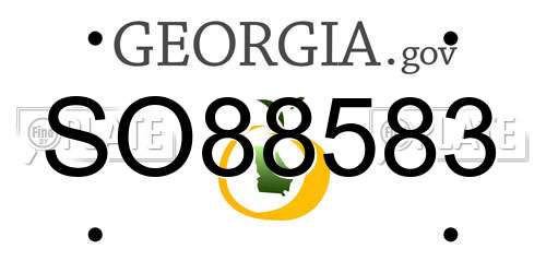 SO88583 Georgia License Plate