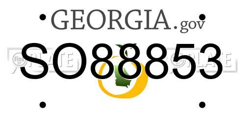 SO88853 Georgia License Plate
