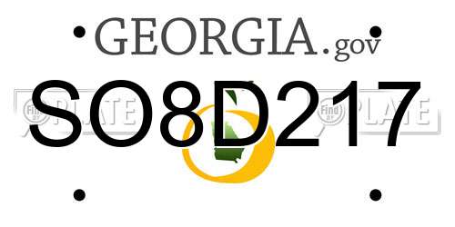 SO8D217 Georgia License Plate
