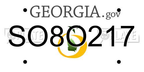 SO8O217 Georgia License Plate