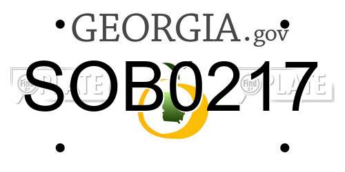 SOB0217 Georgia License Plate