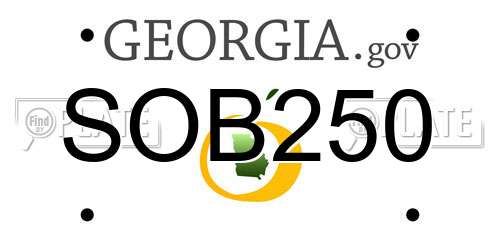 SOB250 Georgia License Plate