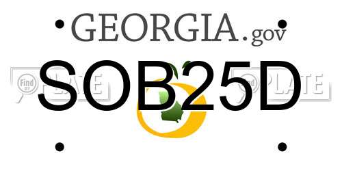 SOB25D Georgia License Plate