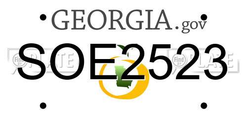 SOE2523 Georgia License Plate