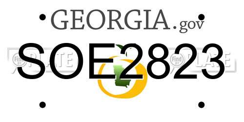 SOE2823 Georgia License Plate