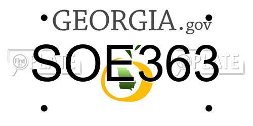 SOE363 Georgia License Plate