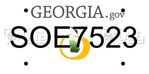 SOE7523 Georgia License Plate