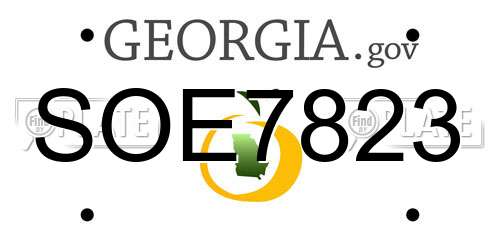 SOE7823 Georgia License Plate