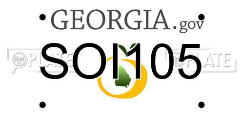 SOI105 Georgia License Plate