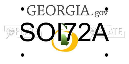 SOI72A Georgia License Plate