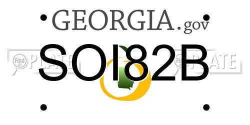 SOI82B Georgia License Plate