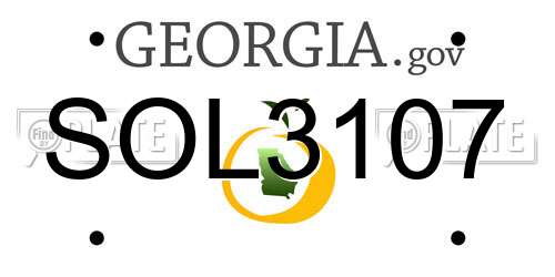 SOL3107 Georgia License Plate