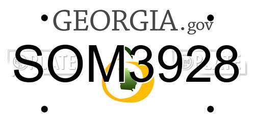 SOM3928 Georgia License Plate