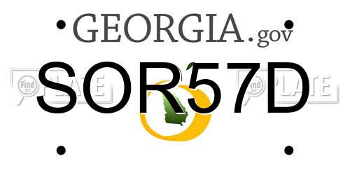 SOR57D Georgia License Plate