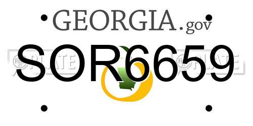 SOR6659 Georgia License Plate