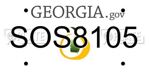 SOS8105 Georgia License Plate