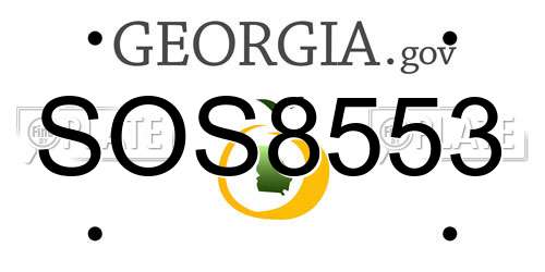 SOS8553 Georgia License Plate