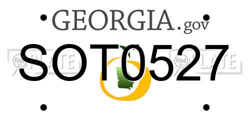 SOT0527 Georgia License Plate