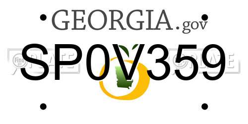 SP0V359 Georgia License Plate