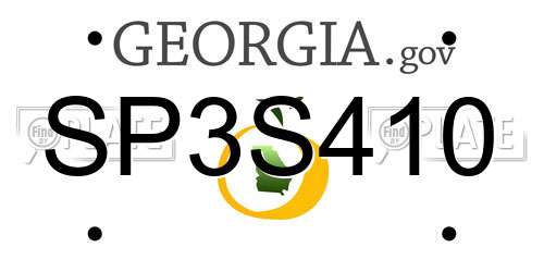SP3S410 Georgia License Plate
