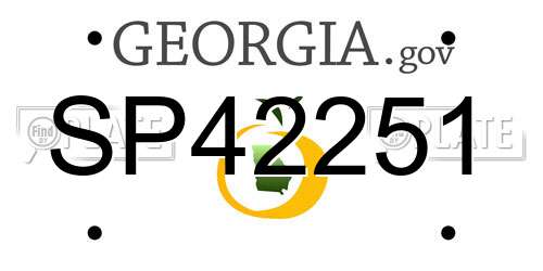 SP42251 Georgia License Plate