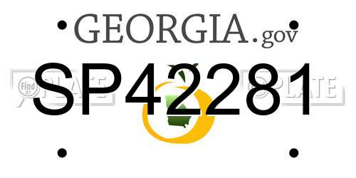 SP42281 Georgia License Plate