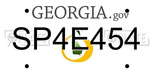 SP4E454 Georgia License Plate