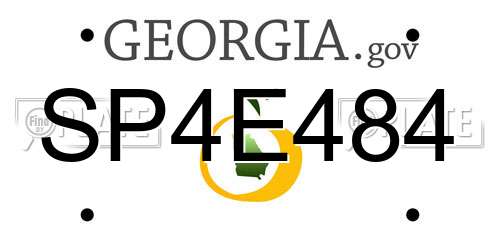 SP4E484 Georgia License Plate