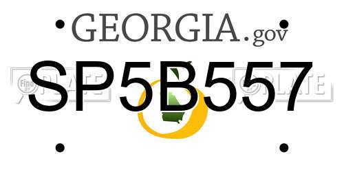 SP5B557 Georgia License Plate