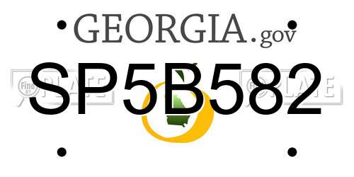 SP5B582 Georgia License Plate